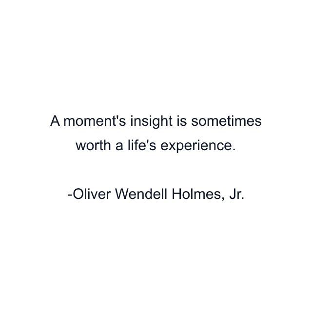 A moment's insight is sometimes worth a life's experience.