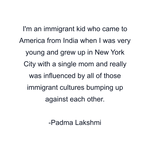 I'm an immigrant kid who came to America from India when I was very young and grew up in New York City with a single mom and really was influenced by all of those immigrant cultures bumping up against each other.