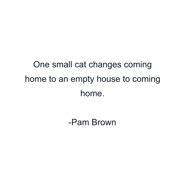 One small cat changes coming home to an empty house to coming home.