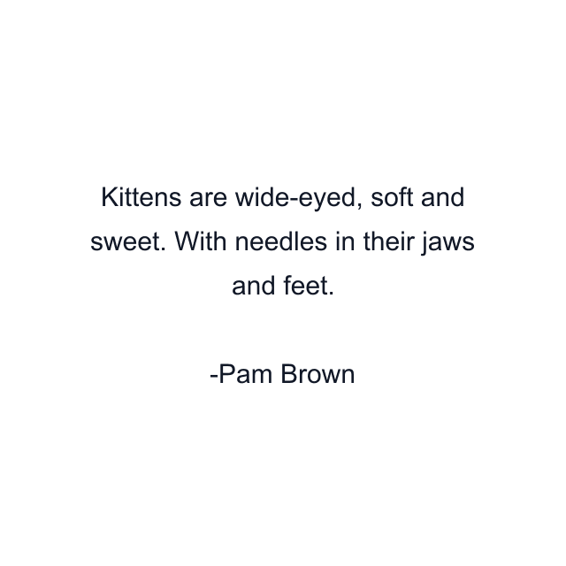 Kittens are wide-eyed, soft and sweet. With needles in their jaws and feet.