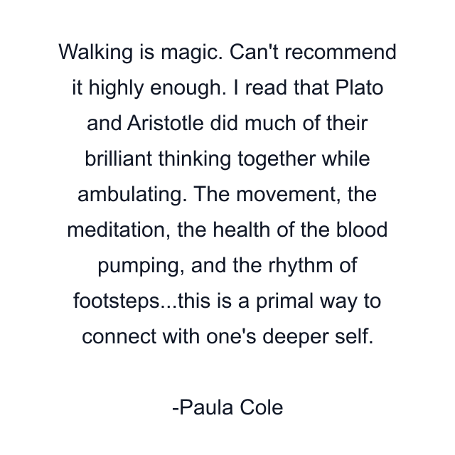 Walking is magic. Can't recommend it highly enough. I read that Plato and Aristotle did much of their brilliant thinking together while ambulating. The movement, the meditation, the health of the blood pumping, and the rhythm of footsteps...this is a primal way to connect with one's deeper self.