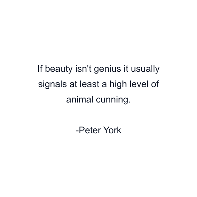 If beauty isn't genius it usually signals at least a high level of animal cunning.