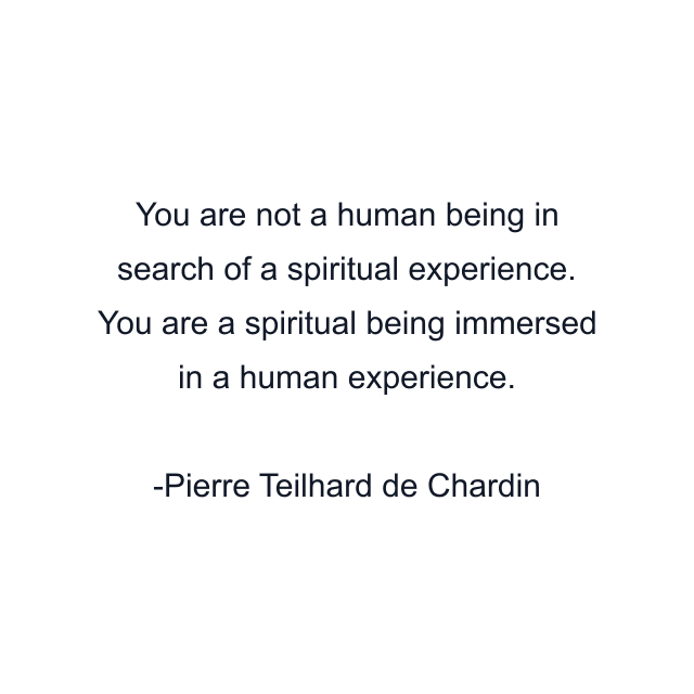 You are not a human being in search of a spiritual experience. You are a spiritual being immersed in a human experience.