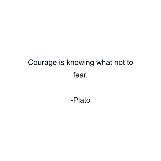 Courage is knowing what not to fear.