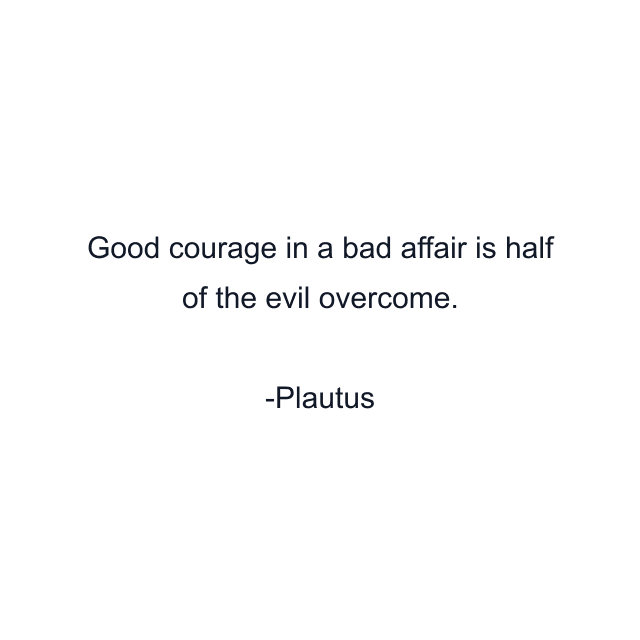 Good courage in a bad affair is half of the evil overcome.