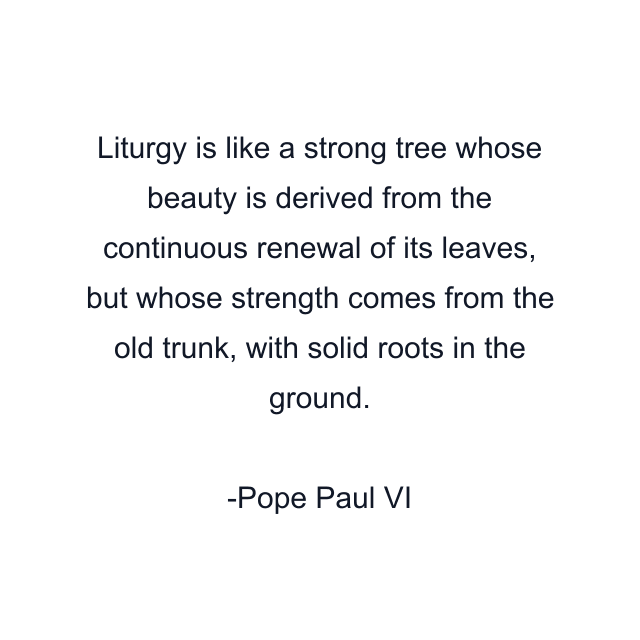 Liturgy is like a strong tree whose beauty is derived from the continuous renewal of its leaves, but whose strength comes from the old trunk, with solid roots in the ground.