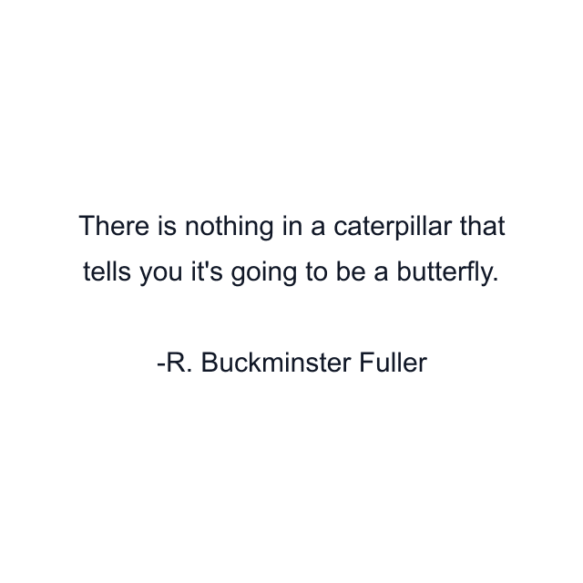 There is nothing in a caterpillar that tells you it's going to be a butterfly.