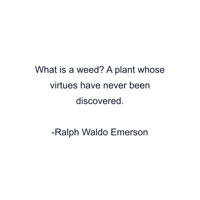 What is a weed? A plant whose virtues have never been discovered.