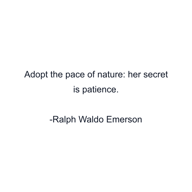 Adopt the pace of nature: her secret is patience.