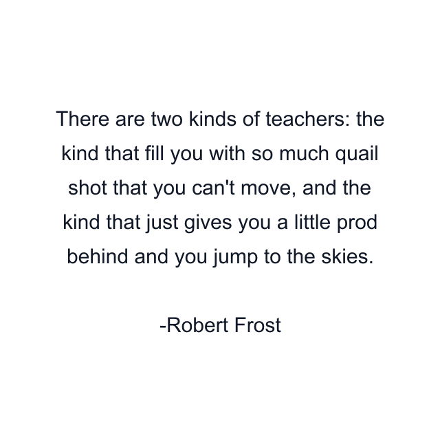 There are two kinds of teachers: the kind that fill you with so much quail shot that you can't move, and the kind that just gives you a little prod behind and you jump to the skies.