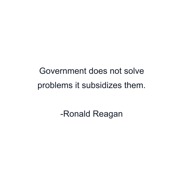 Government does not solve problems it subsidizes them.