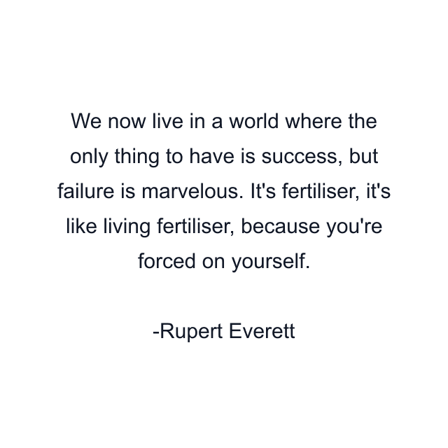 We now live in a world where the only thing to have is success, but failure is marvelous. It's fertiliser, it's like living fertiliser, because you're forced on yourself.