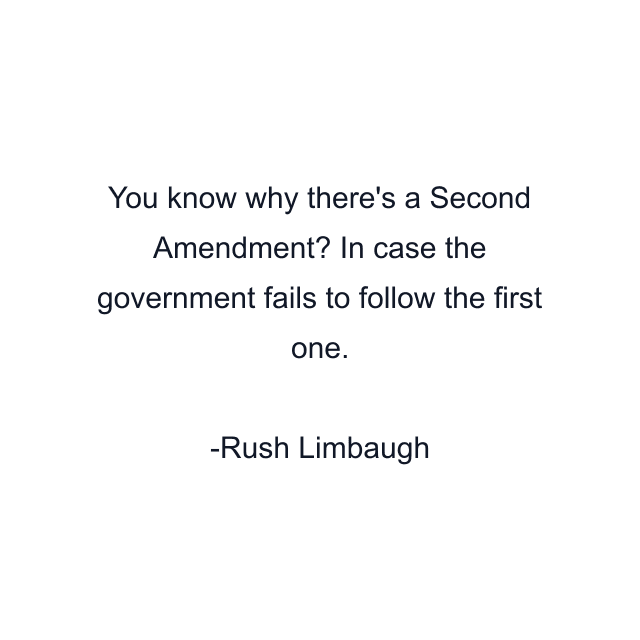 You know why there's a Second Amendment? In case the government fails to follow the first one.