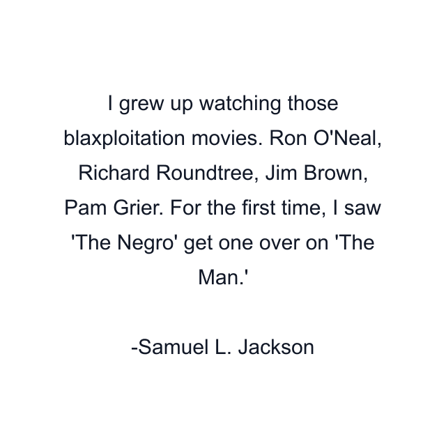 I grew up watching those blaxploitation movies. Ron O'Neal, Richard Roundtree, Jim Brown, Pam Grier. For the first time, I saw 'The Negro' get one over on 'The Man.'