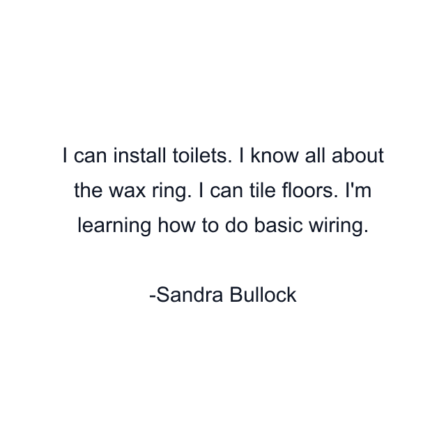 I can install toilets. I know all about the wax ring. I can tile floors. I'm learning how to do basic wiring.