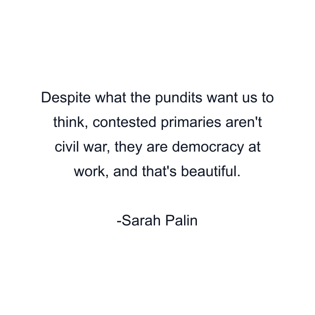 Despite what the pundits want us to think, contested primaries aren't civil war, they are democracy at work, and that's beautiful.