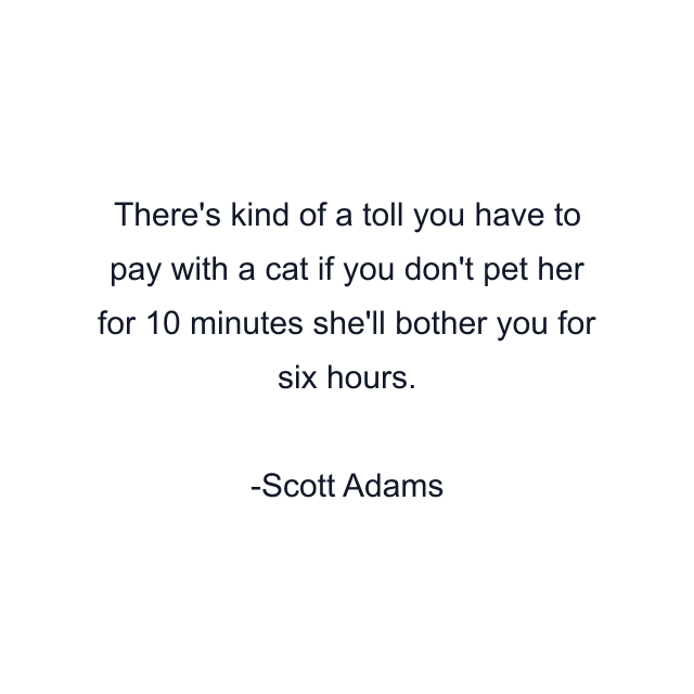 There's kind of a toll you have to pay with a cat if you don't pet her for 10 minutes she'll bother you for six hours.