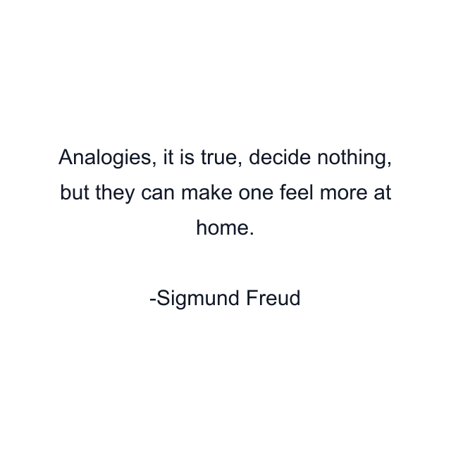 Analogies, it is true, decide nothing, but they can make one feel more at home.