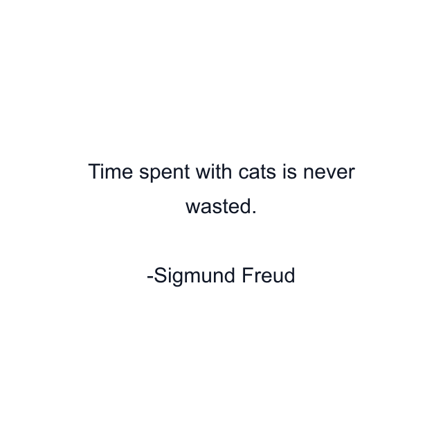 Time spent with cats is never wasted.