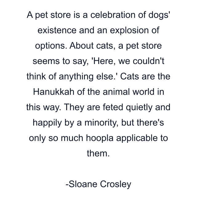 A pet store is a celebration of dogs' existence and an explosion of options. About cats, a pet store seems to say, 'Here, we couldn't think of anything else.' Cats are the Hanukkah of the animal world in this way. They are feted quietly and happily by a minority, but there's only so much hoopla applicable to them.