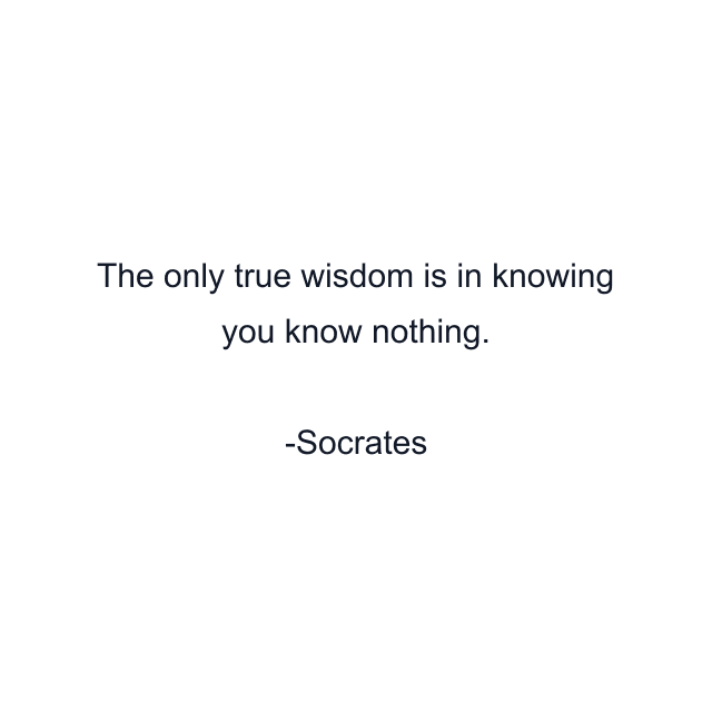 The only true wisdom is in knowing you know nothing.