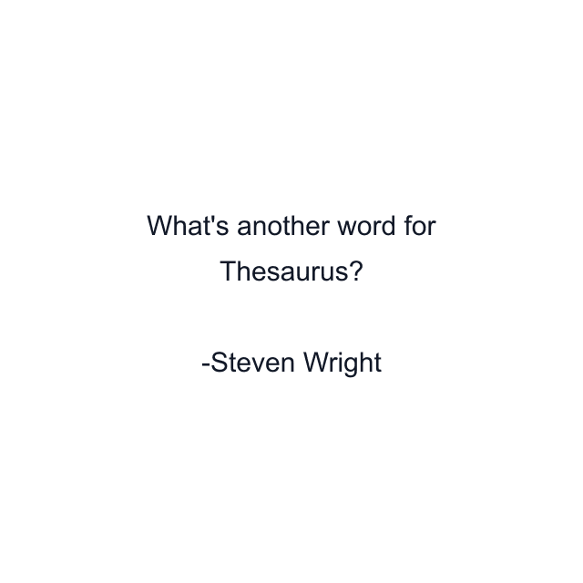 What's another word for Thesaurus?