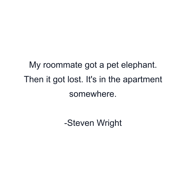 My roommate got a pet elephant. Then it got lost. It's in the apartment somewhere.