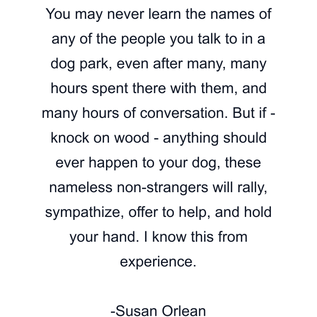 You may never learn the names of any of the people you talk to in a dog park, even after many, many hours spent there with them, and many hours of conversation. But if - knock on wood - anything should ever happen to your dog, these nameless non-strangers will rally, sympathize, offer to help, and hold your hand. I know this from experience.