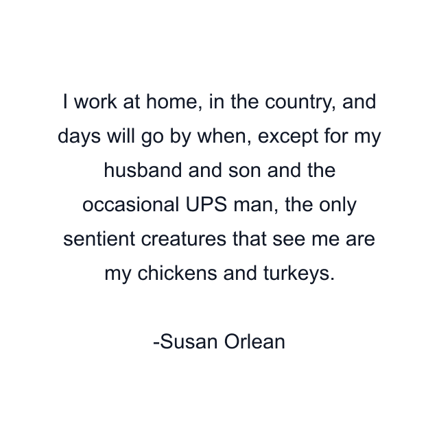 I work at home, in the country, and days will go by when, except for my husband and son and the occasional UPS man, the only sentient creatures that see me are my chickens and turkeys.