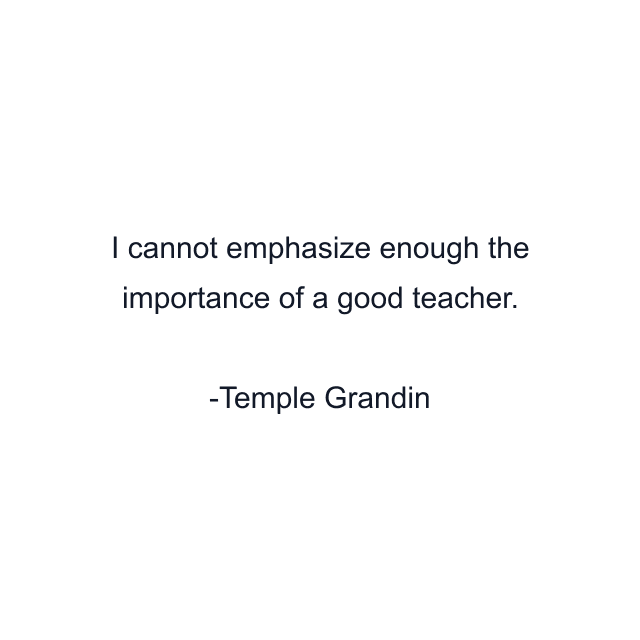 I cannot emphasize enough the importance of a good teacher.