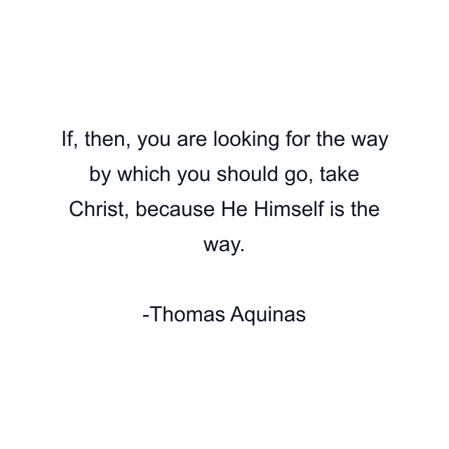 If, then, you are looking for the way by which you should go, take Christ, because He Himself is the way.