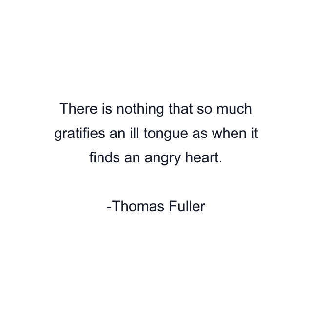 There is nothing that so much gratifies an ill tongue as when it finds an angry heart.