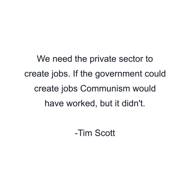 We need the private sector to create jobs. If the government could create jobs Communism would have worked, but it didn't.