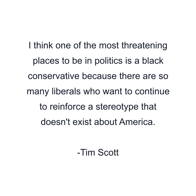 I think one of the most threatening places to be in politics is a black conservative because there are so many liberals who want to continue to reinforce a stereotype that doesn't exist about America.