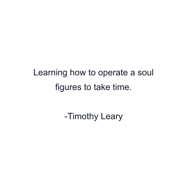 Learning how to operate a soul figures to take time.