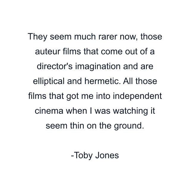 They seem much rarer now, those auteur films that come out of a director's imagination and are elliptical and hermetic. All those films that got me into independent cinema when I was watching it seem thin on the ground.