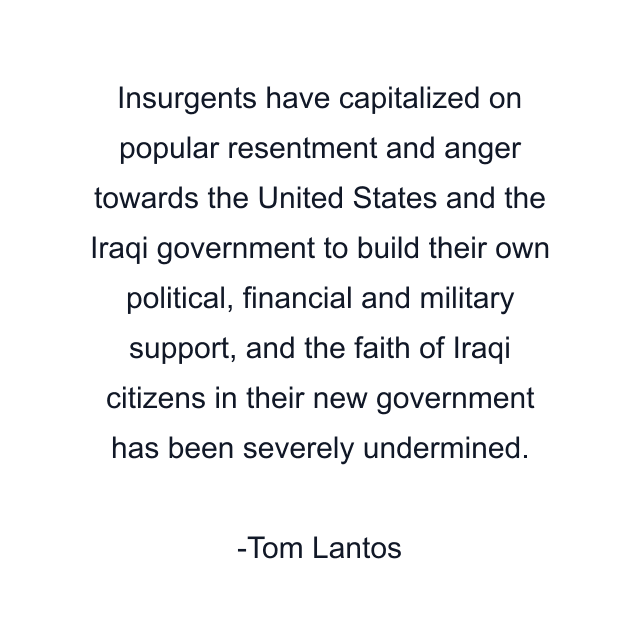 Insurgents have capitalized on popular resentment and anger towards the United States and the Iraqi government to build their own political, financial and military support, and the faith of Iraqi citizens in their new government has been severely undermined.