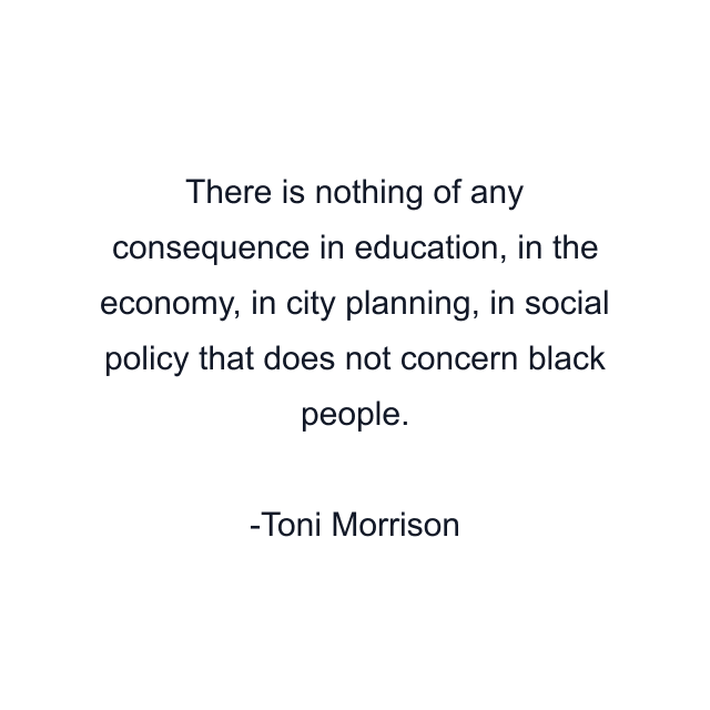 There is nothing of any consequence in education, in the economy, in city planning, in social policy that does not concern black people.