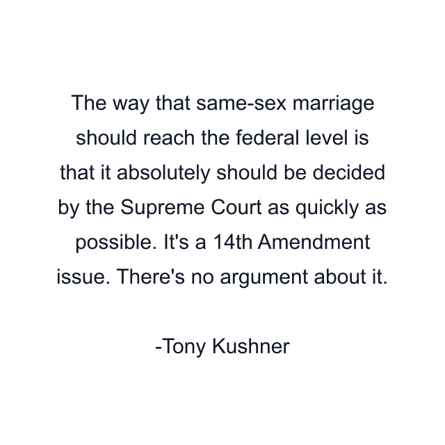 The way that same-sex marriage should reach the federal level is that it absolutely should be decided by the Supreme Court as quickly as possible. It's a 14th Amendment issue. There's no argument about it.