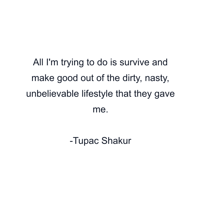 All I'm trying to do is survive and make good out of the dirty, nasty, unbelievable lifestyle that they gave me.