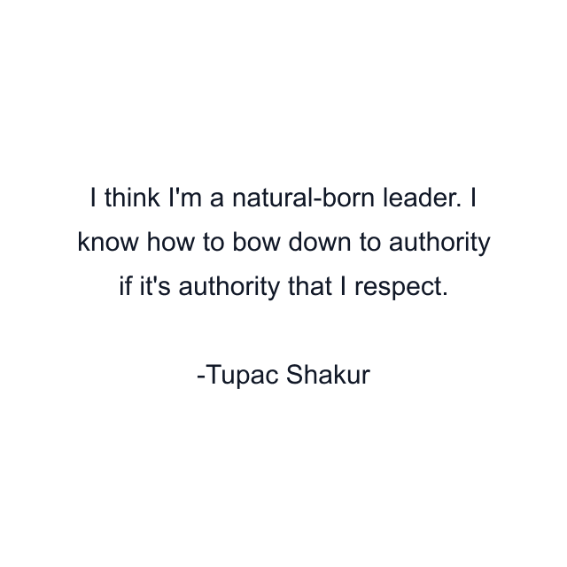 I think I'm a natural-born leader. I know how to bow down to authority if it's authority that I respect.