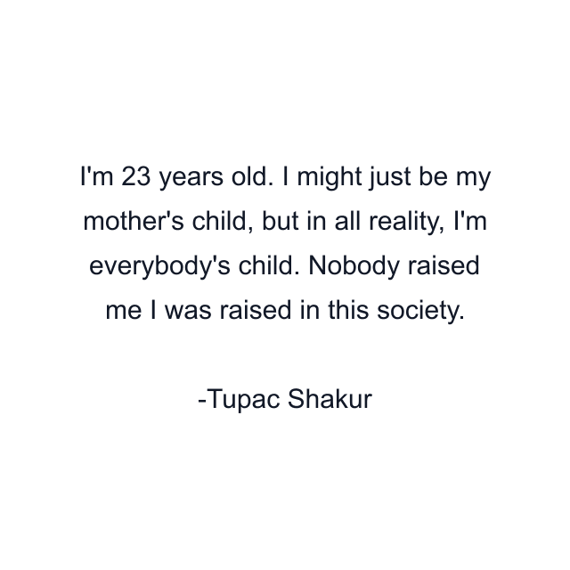 I'm 23 years old. I might just be my mother's child, but in all reality, I'm everybody's child. Nobody raised me I was raised in this society.