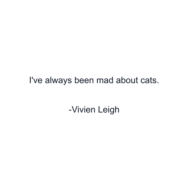 I've always been mad about cats.