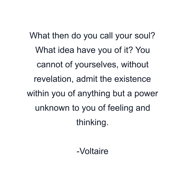 What then do you call your soul? What idea have you of it? You cannot of yourselves, without revelation, admit the existence within you of anything but a power unknown to you of feeling and thinking.