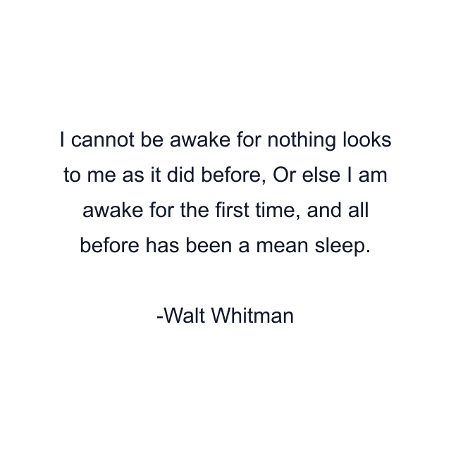 I cannot be awake for nothing looks to me as it did before, Or else I am awake for the first time, and all before has been a mean sleep.