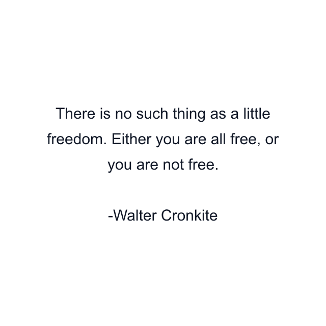 There is no such thing as a little freedom. Either you are all free, or you are not free.