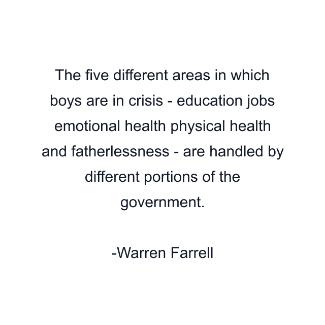 The five different areas in which boys are in crisis - education jobs emotional health physical health and fatherlessness - are handled by different portions of the government.