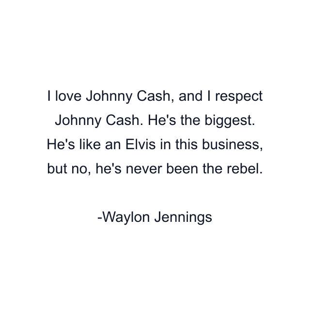 I love Johnny Cash, and I respect Johnny Cash. He's the biggest. He's like an Elvis in this business, but no, he's never been the rebel.