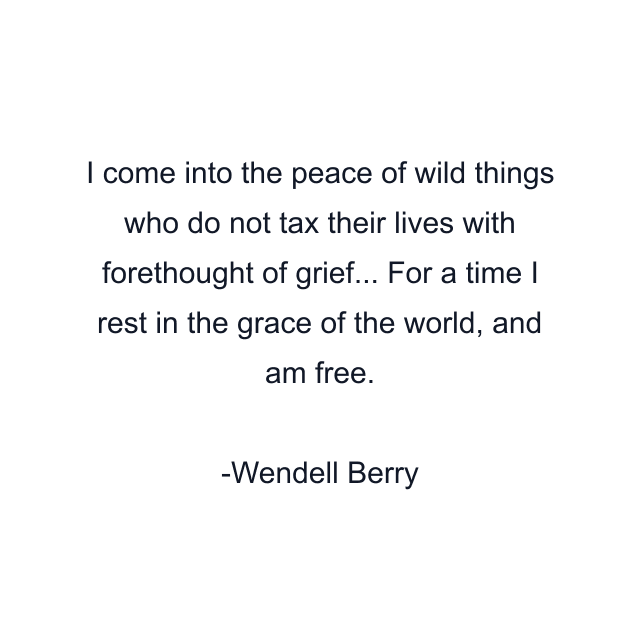 I come into the peace of wild things who do not tax their lives with forethought of grief... For a time I rest in the grace of the world, and am free.