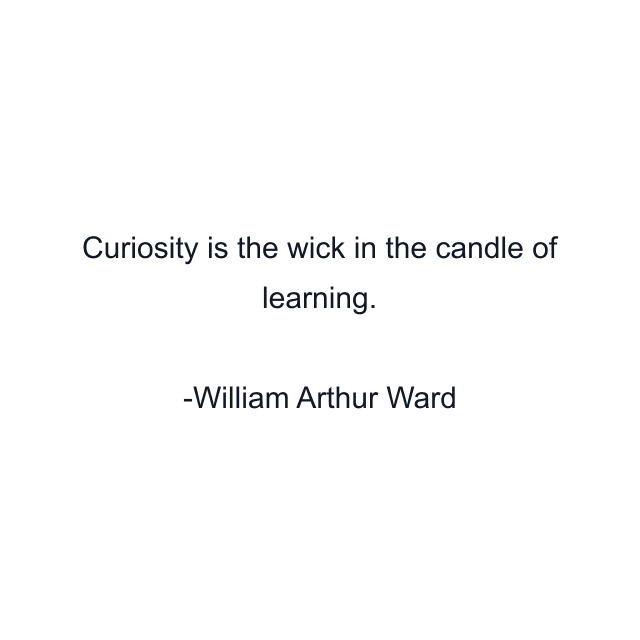 Curiosity is the wick in the candle of learning.